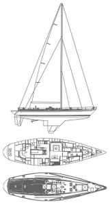 Swan 651 Drawing