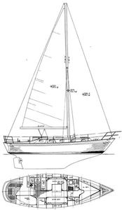 Rafiki 35 Drawing