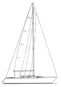 Peterson 37 Drawing