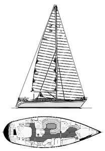 Furia 44 Drawing