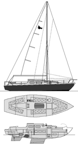 Kingfisher 30 Drawing
