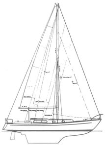 Soverel 41 Drawing