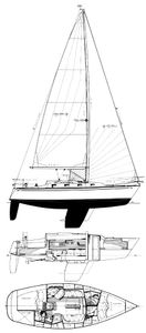 Tartan 31 Piper Drawing