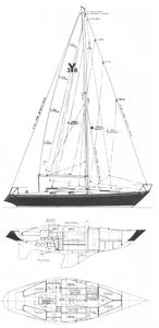 Yankee 38 Drawing