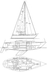 Santana 30 Drawing