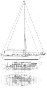 Aurora 40 Drawing