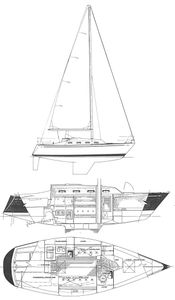Tartan 28 Drawing