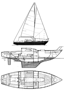 Regent (Jouët) Drawing