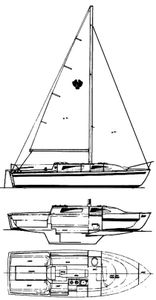 American 26/27 Drawing