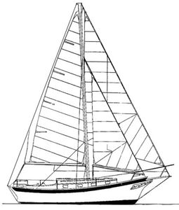 Fortune 30 Drawing