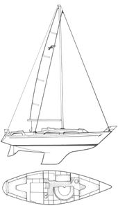 Fandango 33 Drawing
