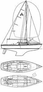 Achilles 24 Drawing
