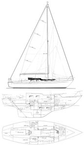 Harmony 31 Drawing