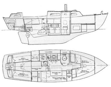 Eagle 27 Drawing