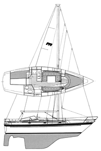 Malo 96 Drawing