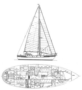 Oceanic 43 Drawing