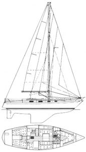 Contessa 38 (Alan-Williams) Drawing