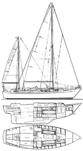 Trintella Iii Drawing