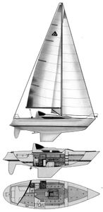 Artina 33 Drawing