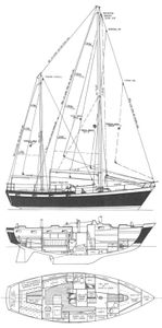 Tartan Tock 40 Drawing
