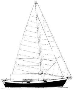 Frances 26 Drawing
