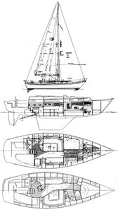 Passport 37 Drawing