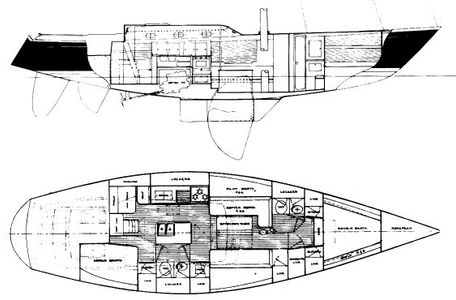 Seguin 48 Drawing