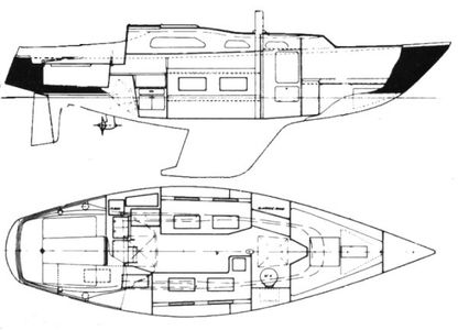 Winga 29 Drawing
