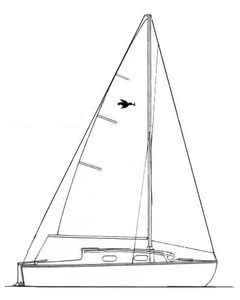 Kingfisher 20 Drawing