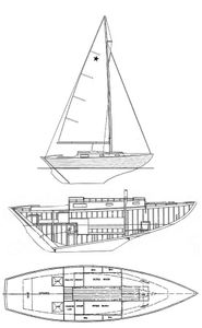 Stella 26 Drawing