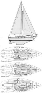 Shannon 28 Drawing