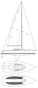 Lindenberg 28 Drawing