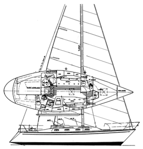 Tartan 34-2 Drawing