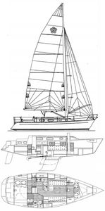 Freedom 35 (Pedrick) Drawing