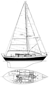 Leigh 30 (Paine) Drawing