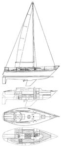 Carter 30 Drawing