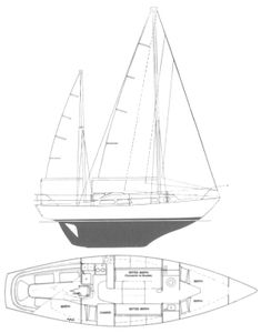Elizabethan 33 Drawing