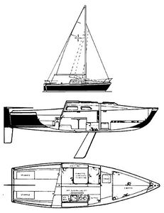 Windrose 24 Drawing