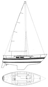 Cal 31 Drawing