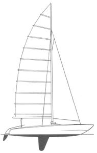 Shark Catamaran Drawing