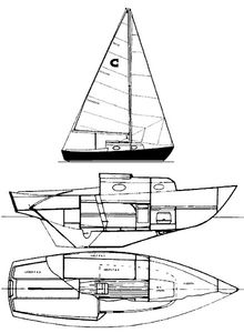 Companion 21 Drawing
