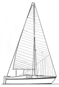 Roy 20 Drawing