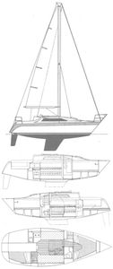 Puma 27 Drawing
