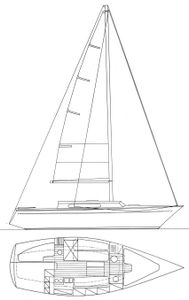 Fleur DE Mer Drawing