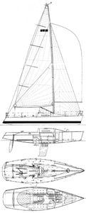 Nelson Marek 36 Drawing