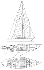 Swan 431 Drawing