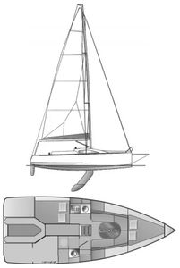 Malango 8.88 Drawing