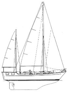 Trintella Iiia Drawing