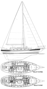 Panda 38 Drawing