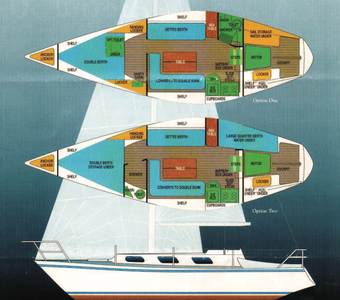 Austral 30 Drawing